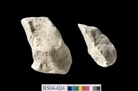 藏品(矽藻土)的圖片